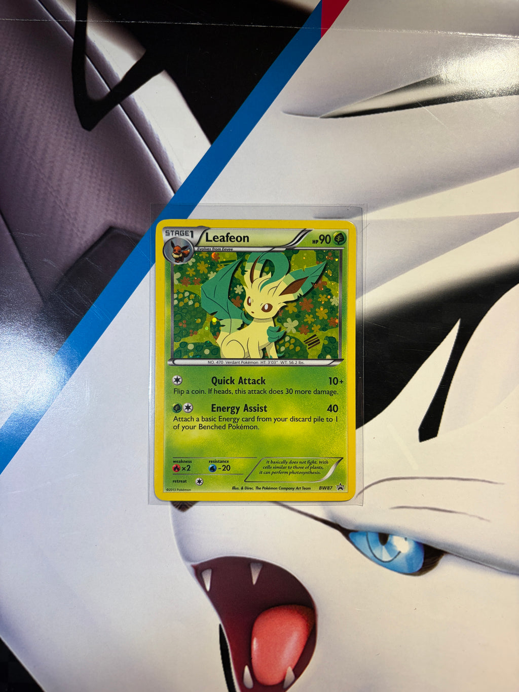Leafeon BW87 Promo