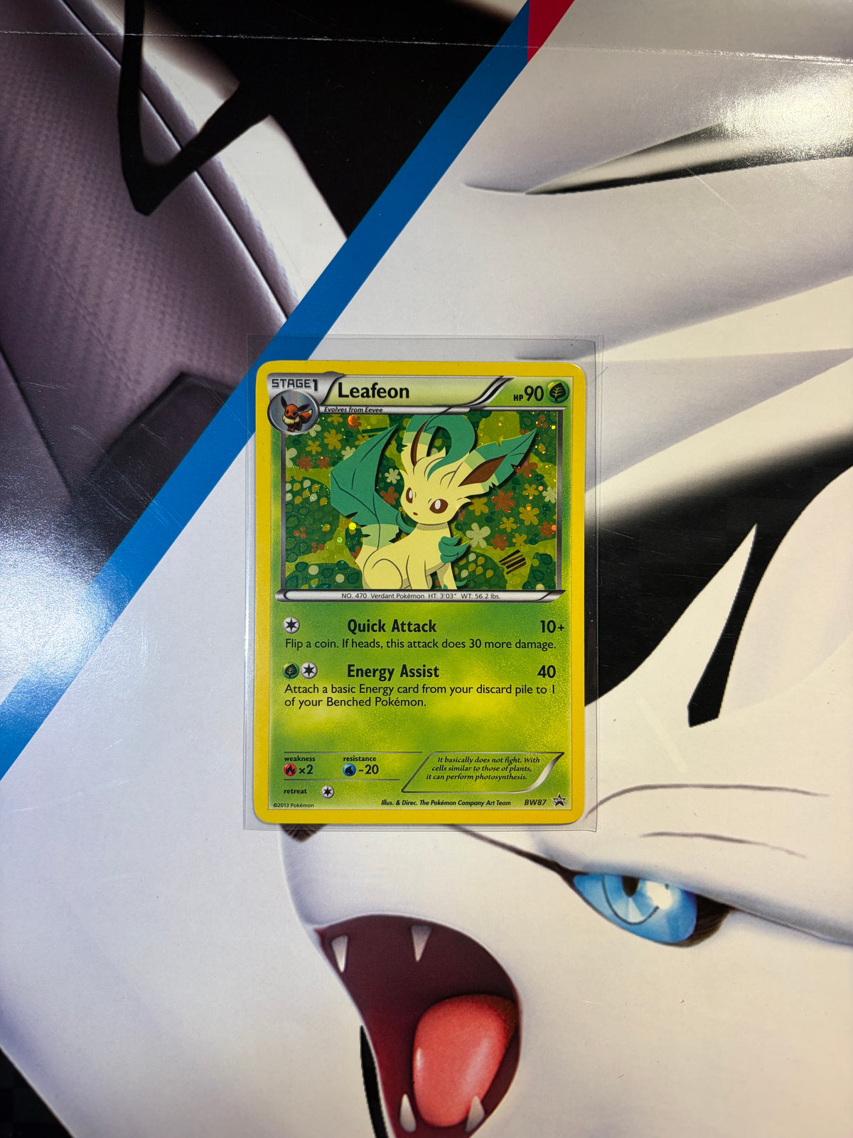 Leafeon BW87 Promo