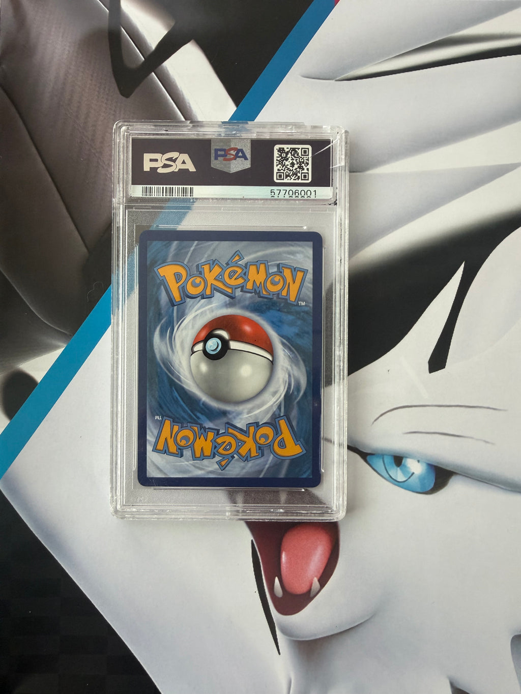 Charizard V Gem Mint 10
