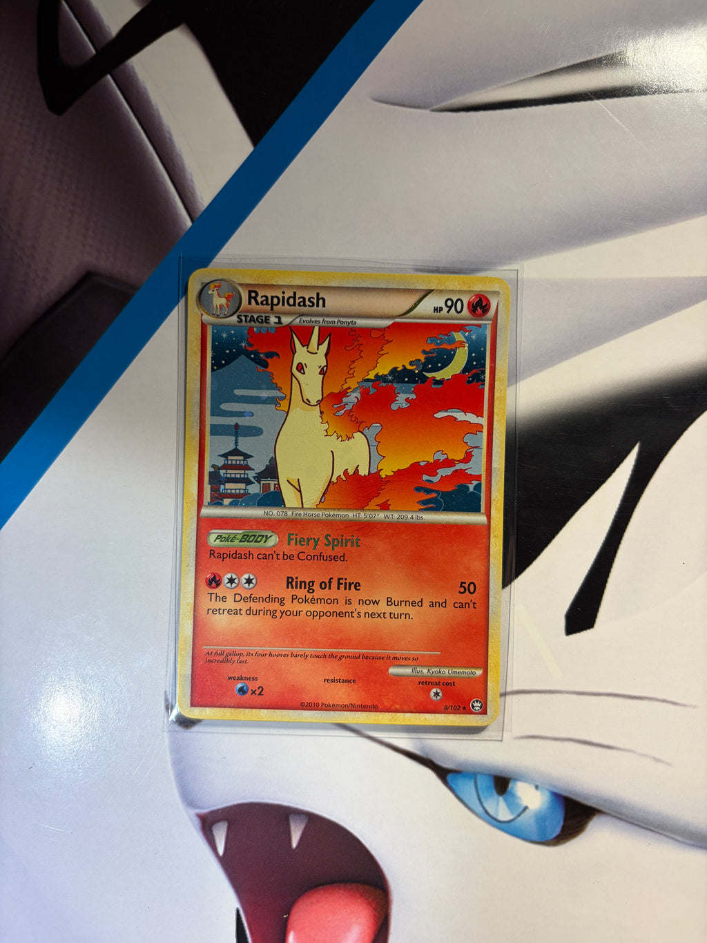 Rapidash