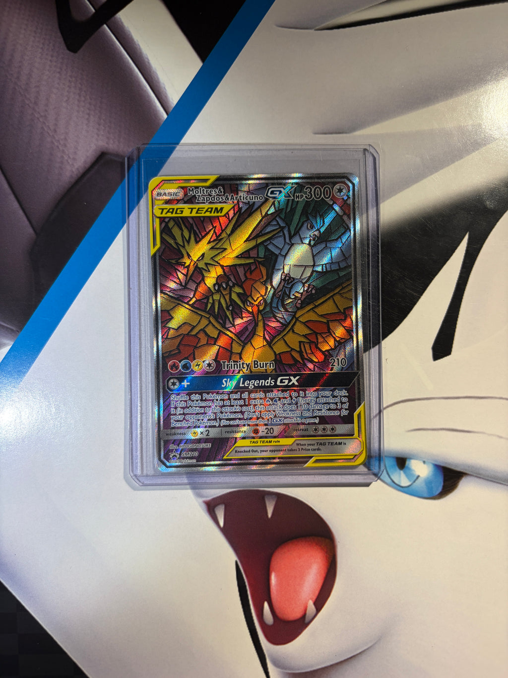 Tag Team Stained Glass Birds