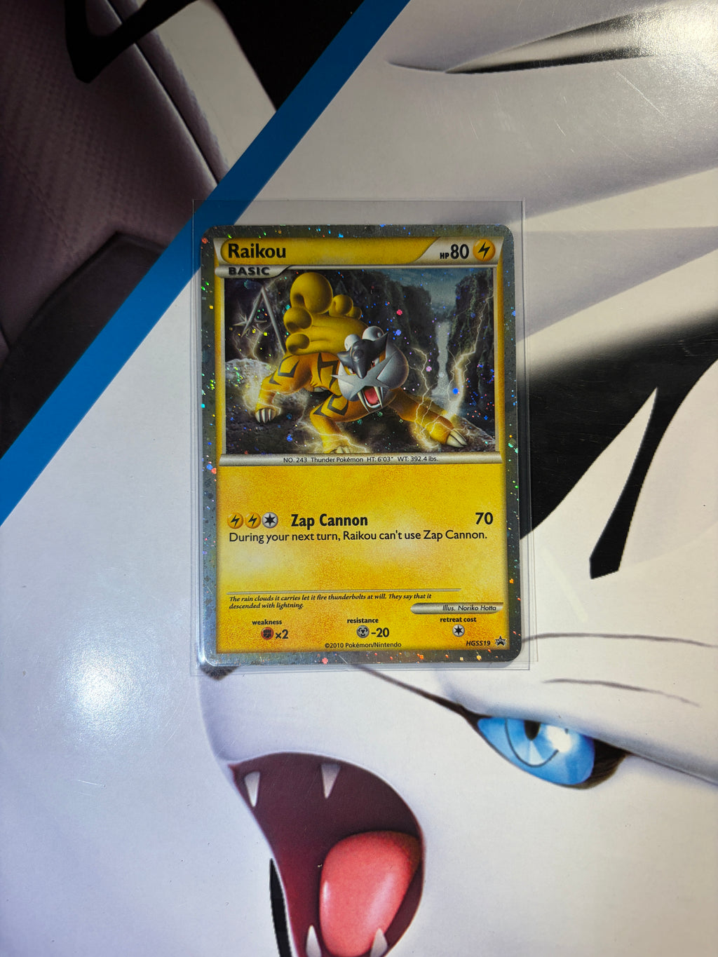 Raikou