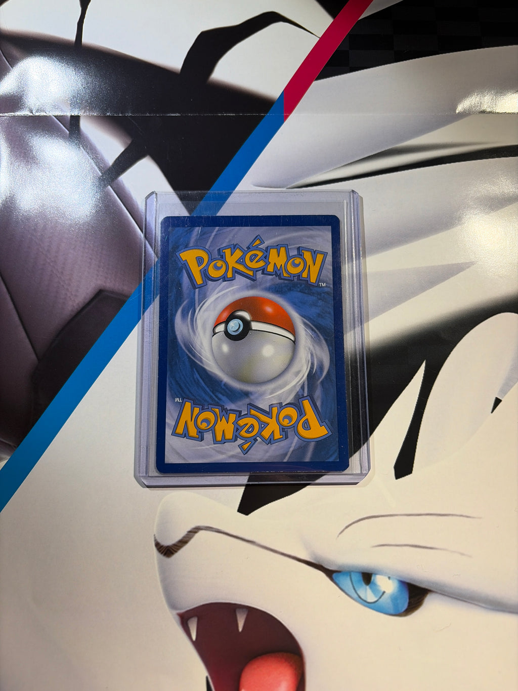 M Charizard EX