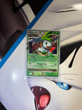 Shaymin Lv. X