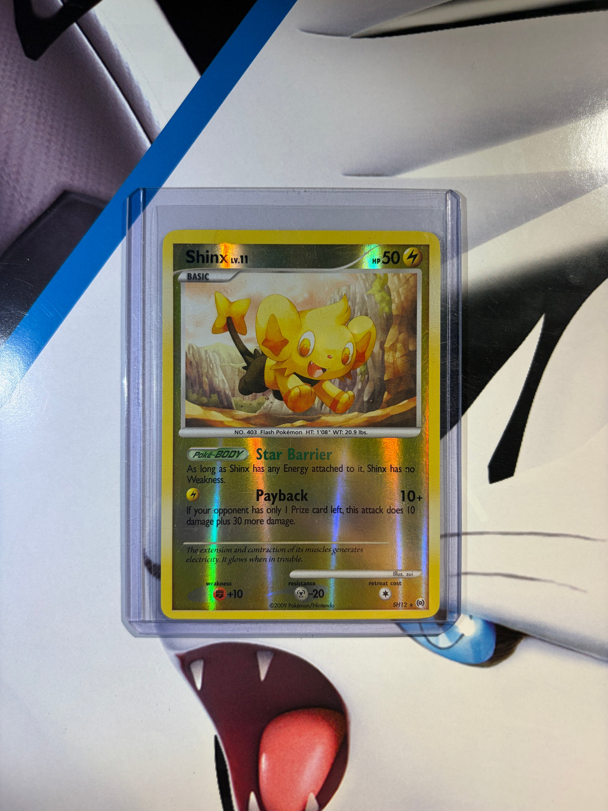 Shinx Lv11 Shiny