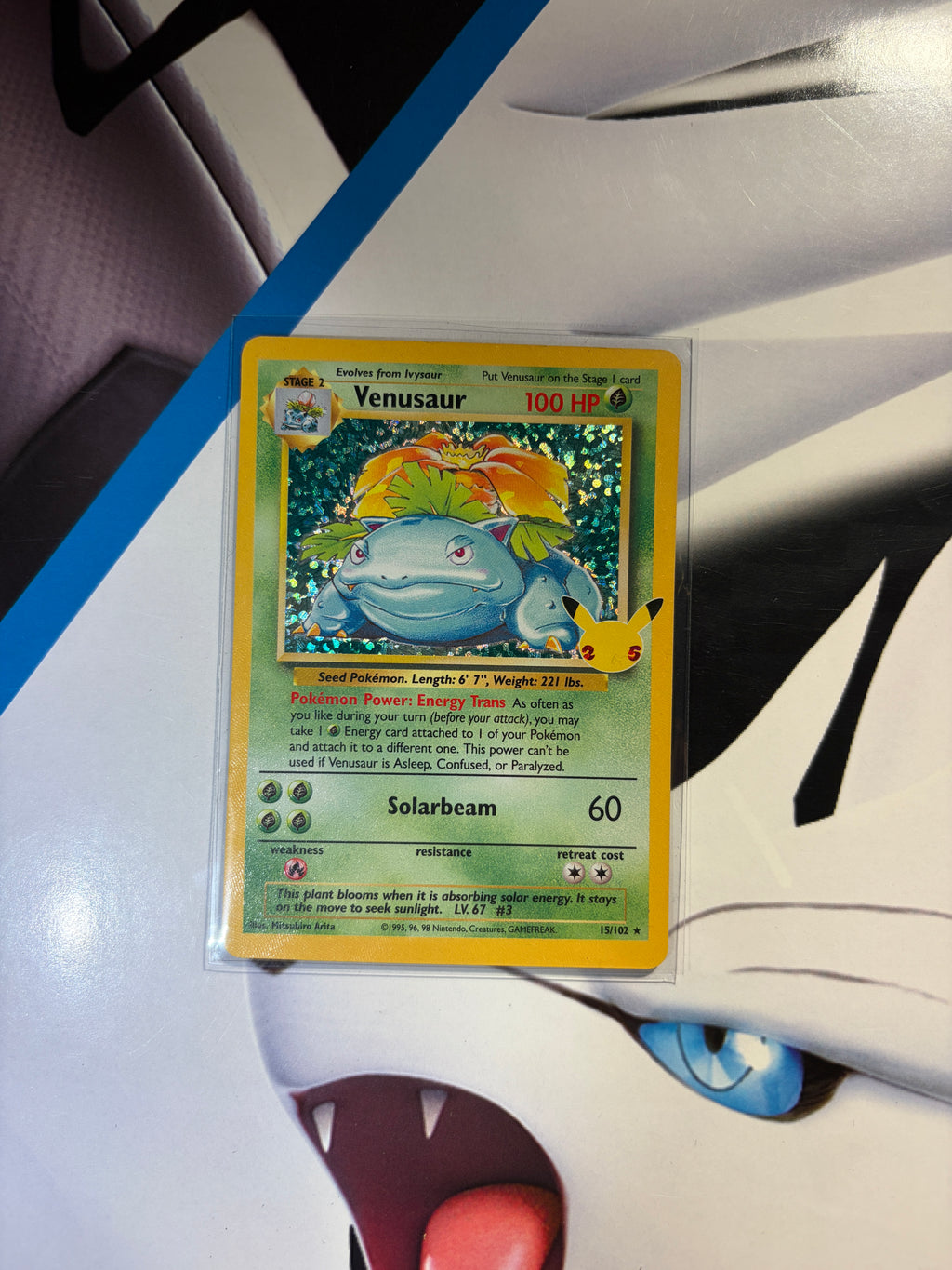 Venusaur Celebrations