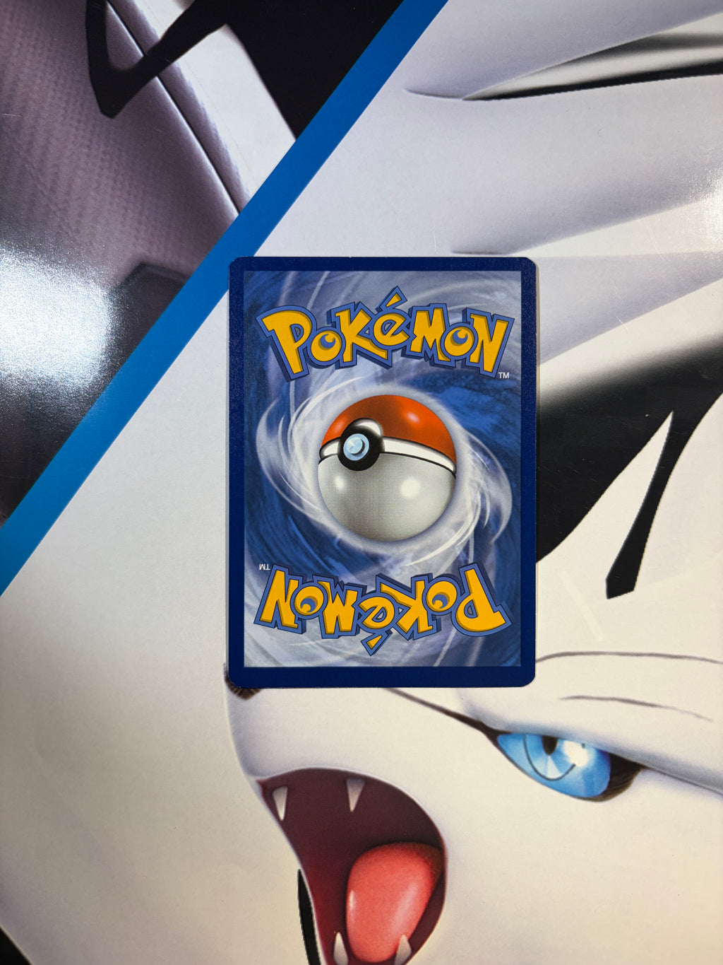 Celebrations Greninja