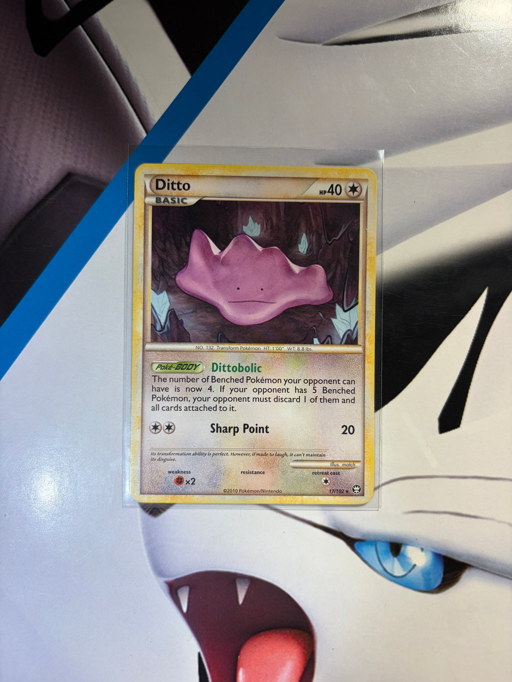 Ditto